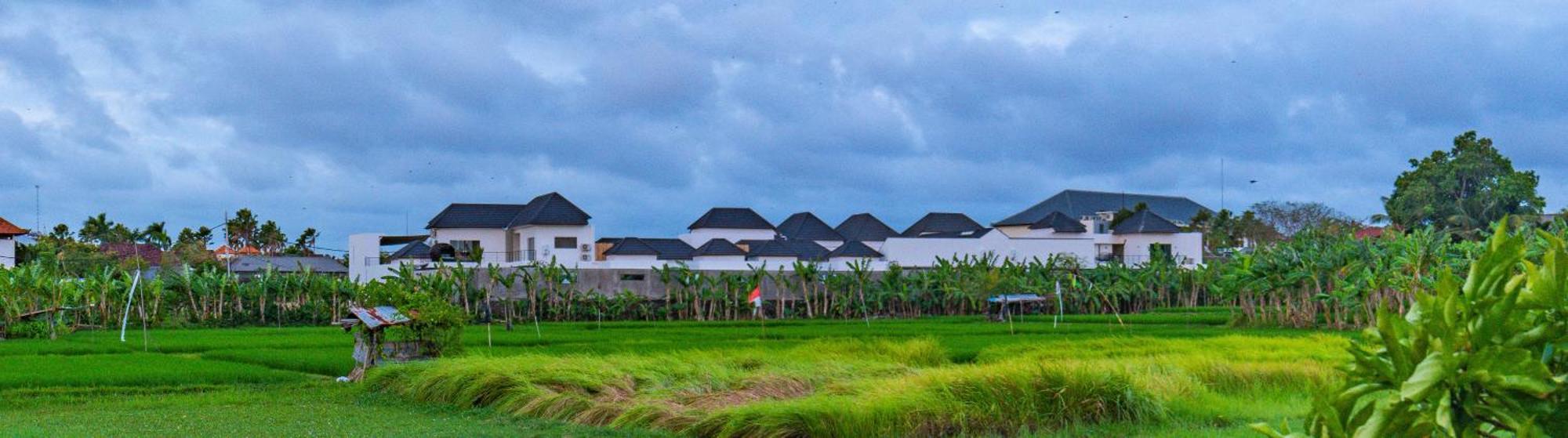 Villa Hedonia Luxury *